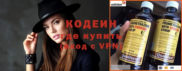 прущие грибы Нея