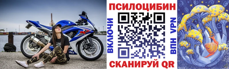 Псилоцибиновые грибы мицелий Гусь-Хрустальный