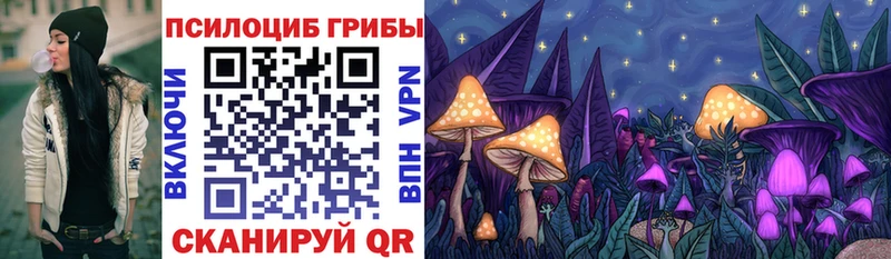 Псилоцибиновые грибы Psilocybe  Купить закладки  Гусь-Хрустальный 